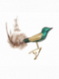 Oiseau à clipser décoration sapin verre soufflé
