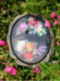  iris et fleurs des champs